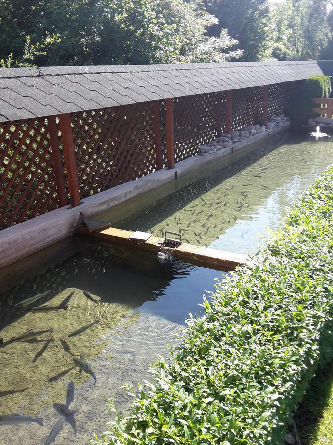 Penzion Soltis Liptovske Revuce Exterior foto